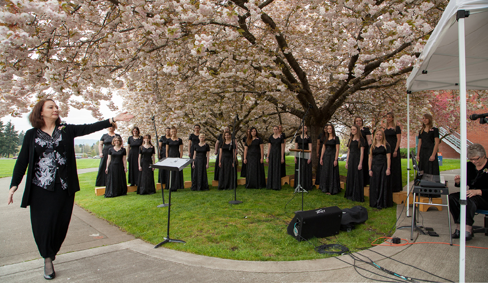 Sakura 2013
