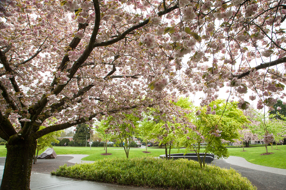 20140417_8960