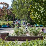 Fall 2015 campus