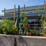 Culinary Institute
